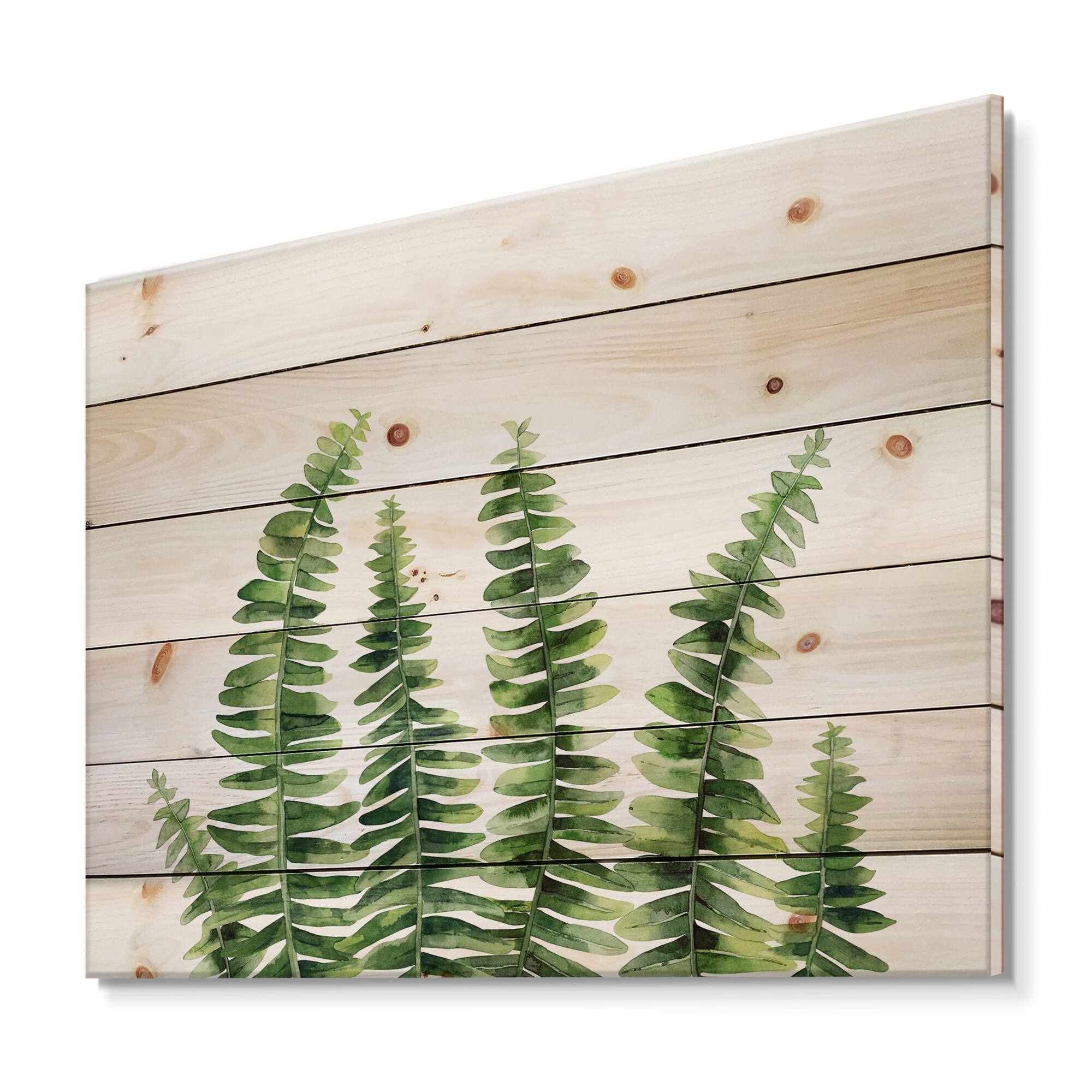 Designart - Fern Leaves Detail II